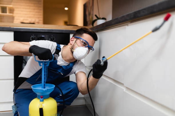 Best Termite Control Services  in Morenci, MI
