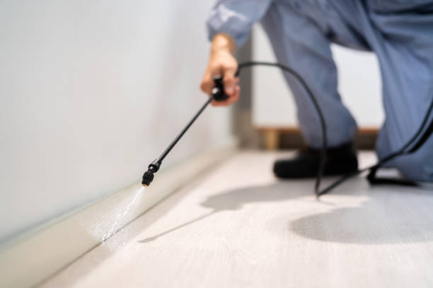 Best Flea Control Services  in Morenci, MI